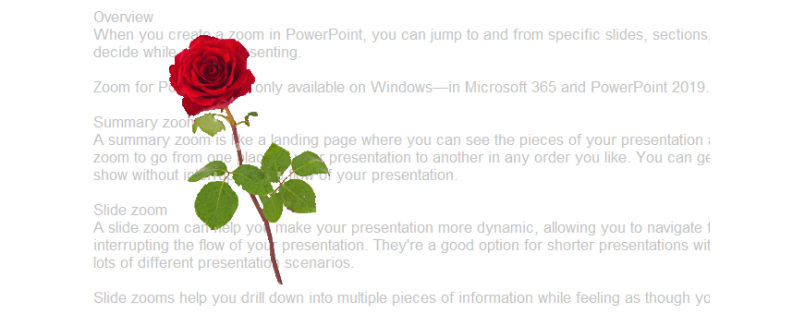 Phần mềm miễn phí hiển thị bông hoa hồng luôn nổi